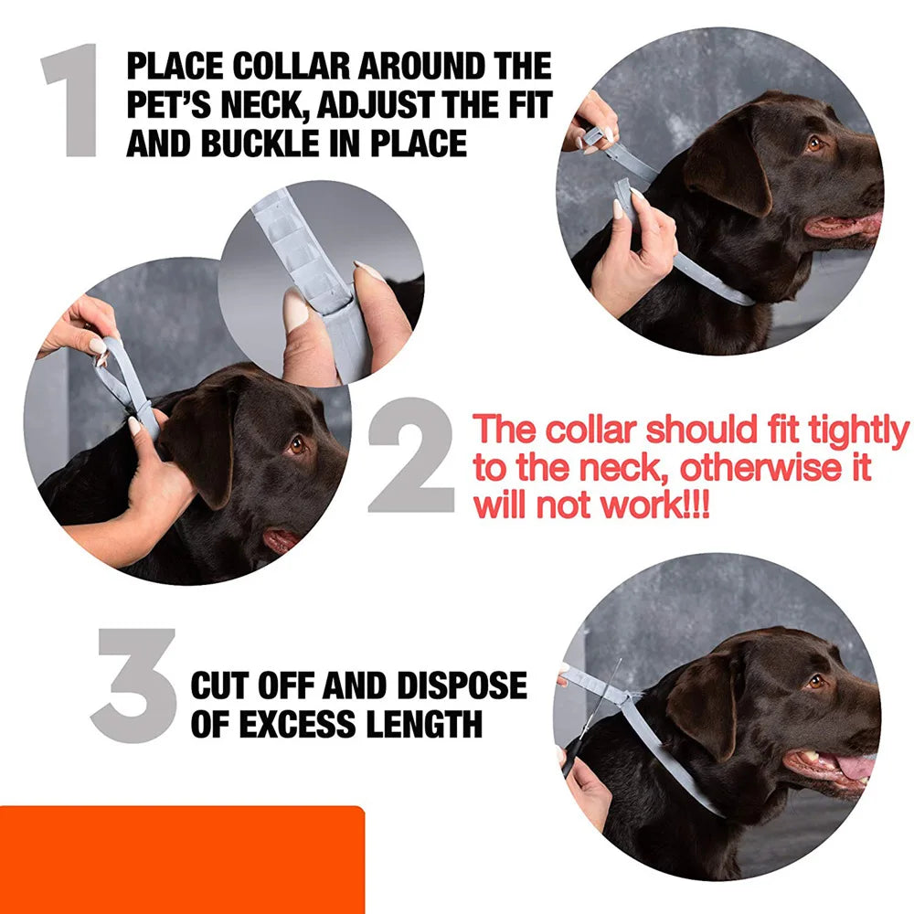 Adjustable Silicone Collar for Dogs & Cats