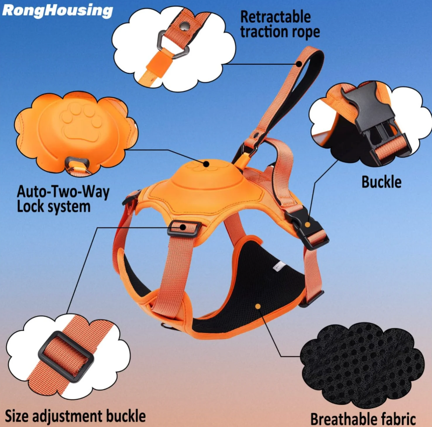 Dog harness with retractable leash