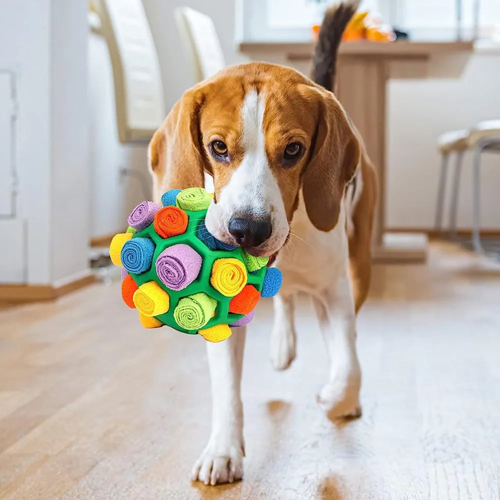 Interactive dog puzzle toy