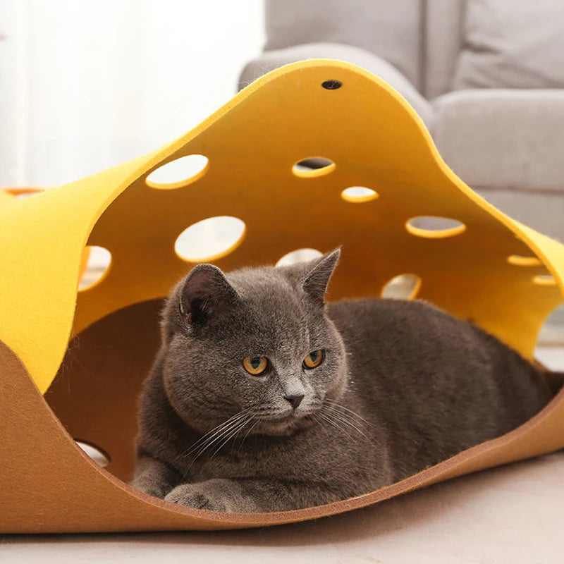 Cat tunnel