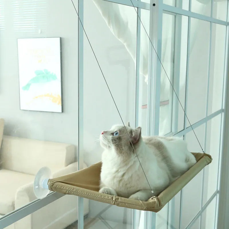 Hanging cat bed