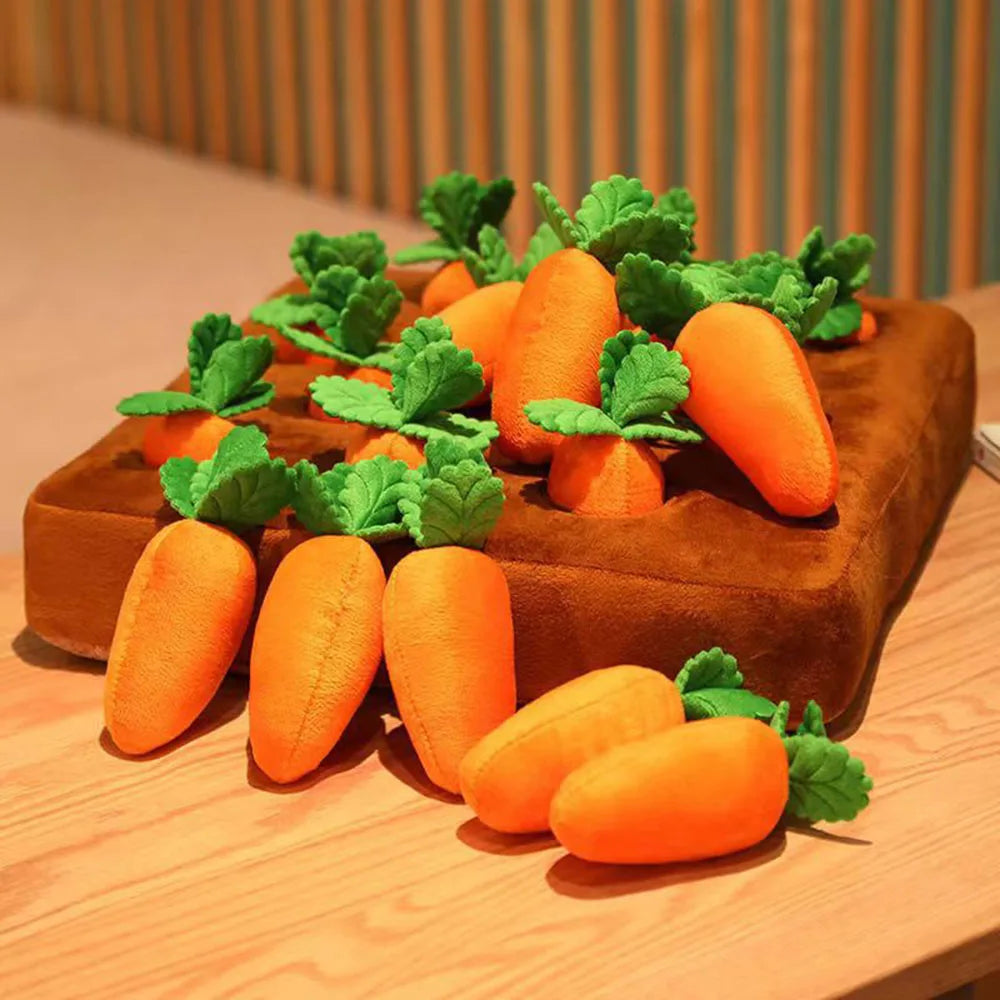 Carrot farm toy